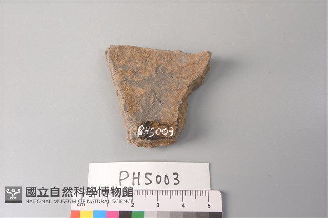 陶片藏品圖，第2張