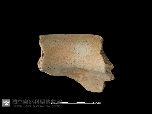 陶罐藏品圖，第2張