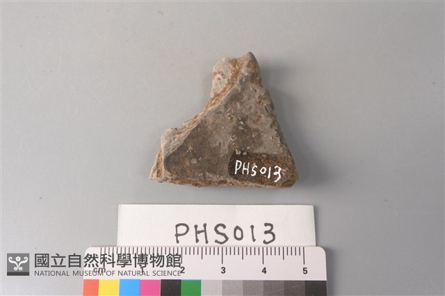 陶片藏品圖，第2張