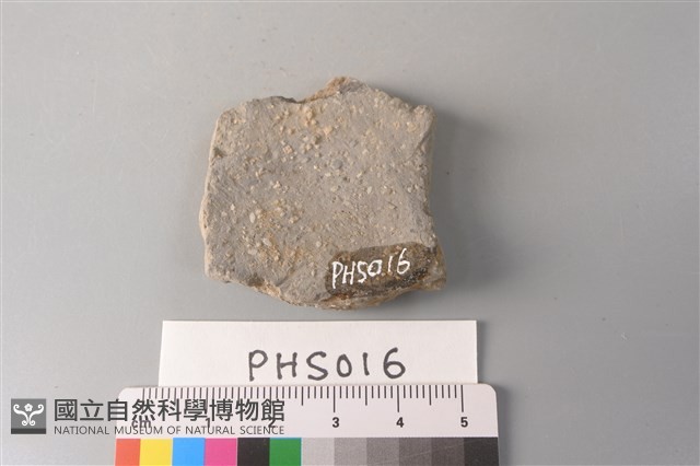 陶片藏品圖，第2張