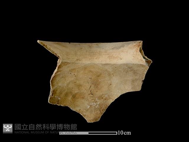 陶罐藏品圖，第2張