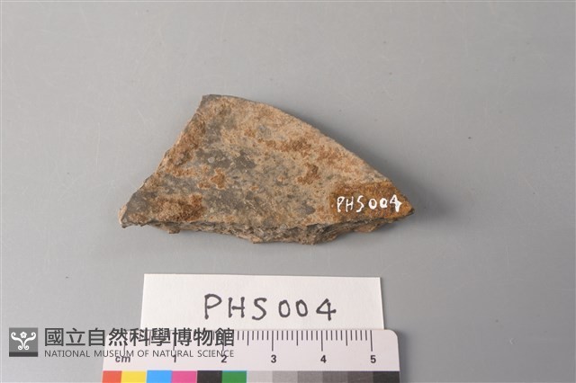 陶片藏品圖，第2張