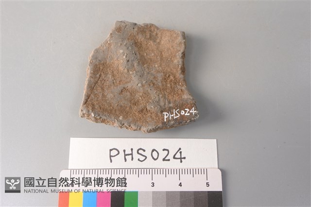 陶片藏品圖，第2張