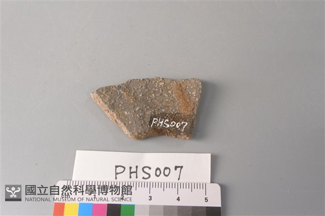 陶片藏品圖，第2張