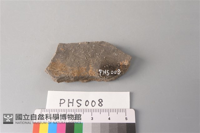 陶片藏品圖，第2張