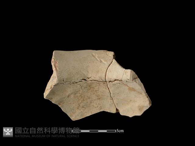 陶罐藏品圖，第2張