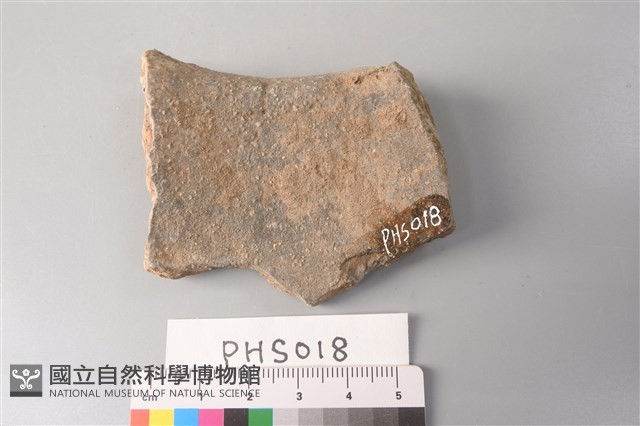 陶片藏品圖，第2張