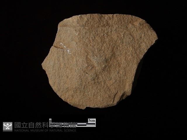 石片器藏品圖，第2張