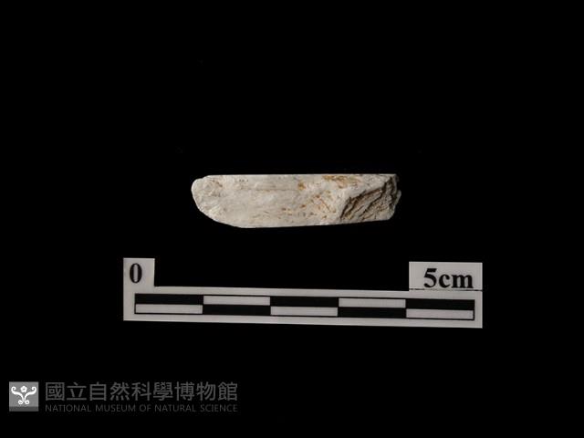 帶加工痕石材藏品圖，第1張