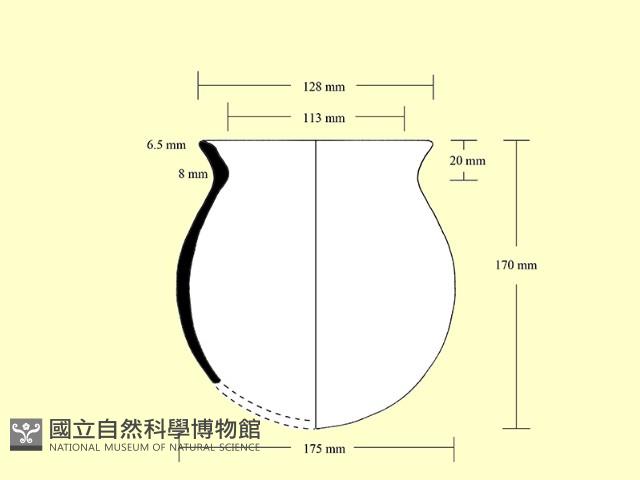 陶罐藏品圖，第3張