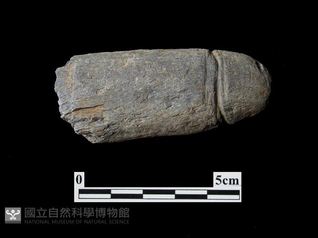 網墜藏品圖，第2張