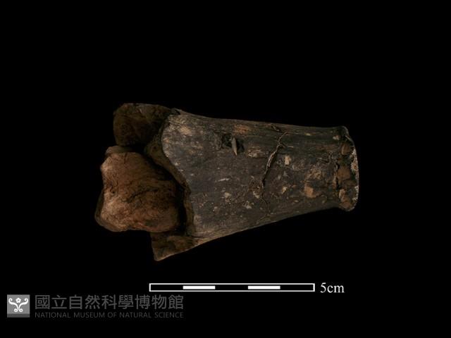 陶偶藏品圖，第3張