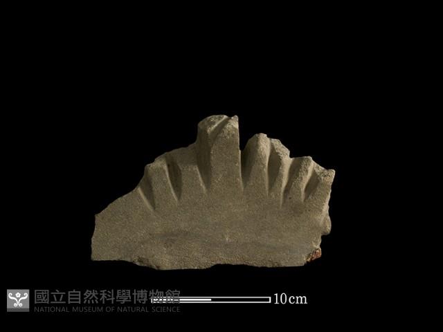 砥石藏品圖，第4張