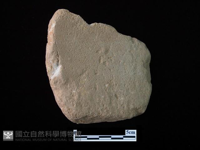 網墜藏品圖，第1張