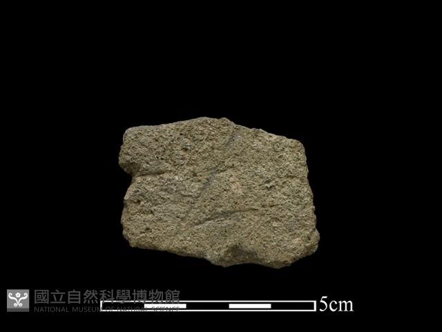 斧鋤形器藏品圖，第2張