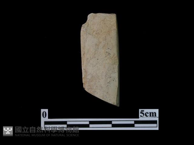 錛鑿形器藏品圖，第1張