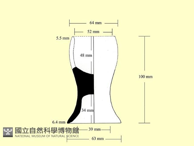 陶杯藏品圖，第3張