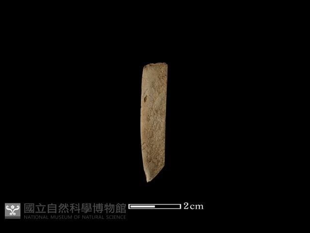 錛鑿形器藏品圖，第1張