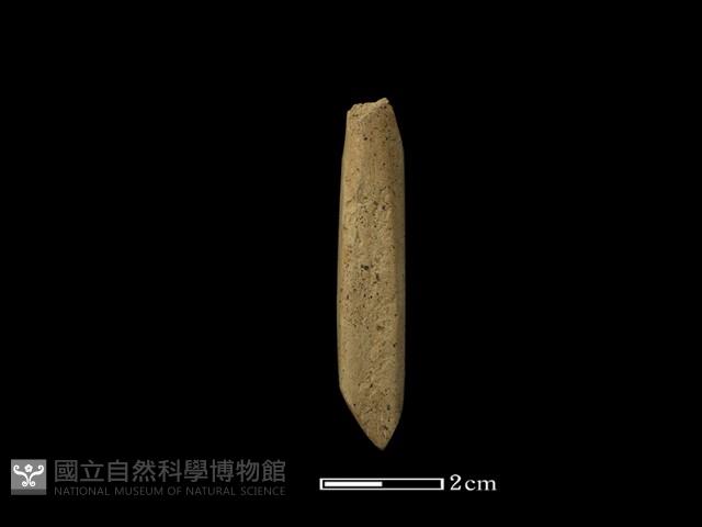 錛鑿形器藏品圖，第2張
