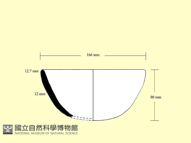 陶缽藏品圖，第4張