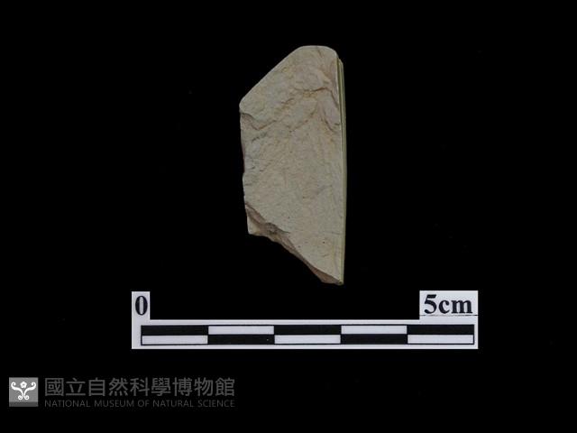 帶加工痕石材藏品圖，第1張