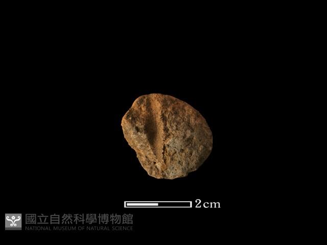紡輪藏品圖，第1張