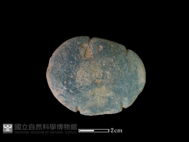 網墜藏品圖，第1張