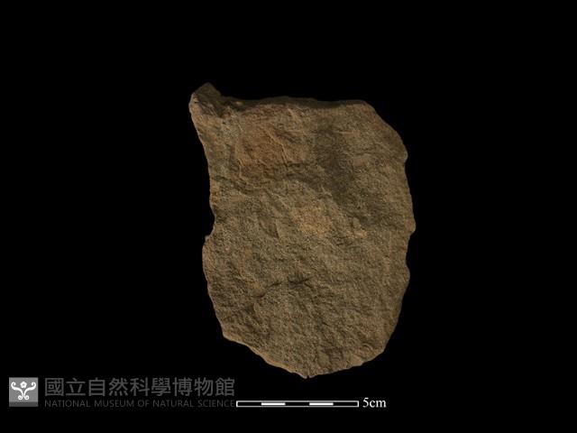 斧鋤形器藏品圖，第2張