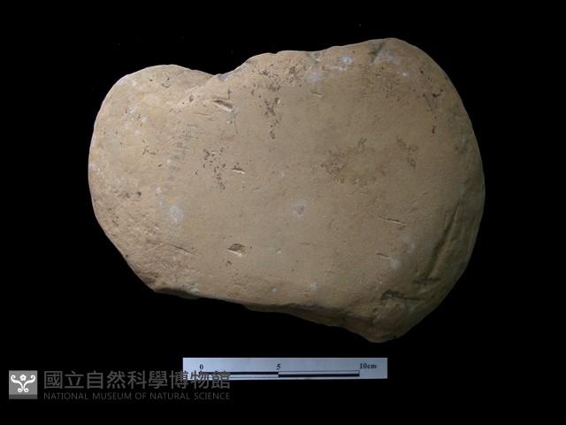 帶加工痕石材藏品圖，第1張