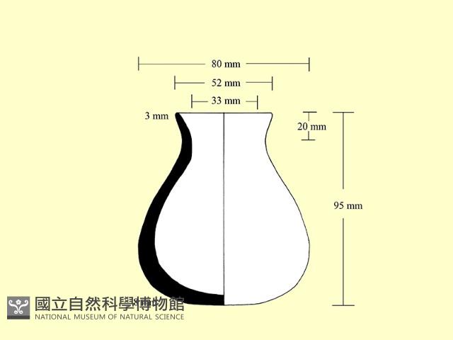 陶罐藏品圖，第3張