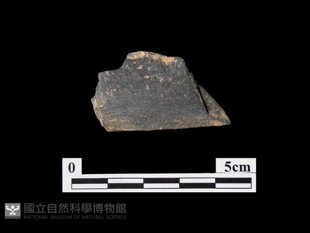 磨製有刃石器藏品圖，第2張