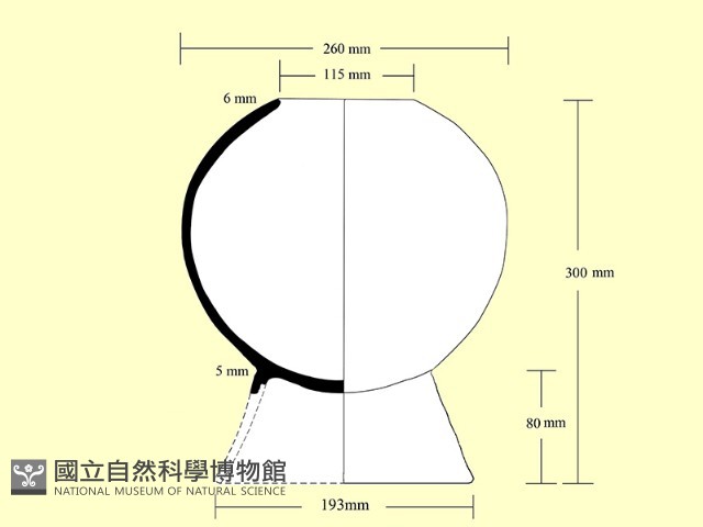 豆形器藏品圖，第4張
