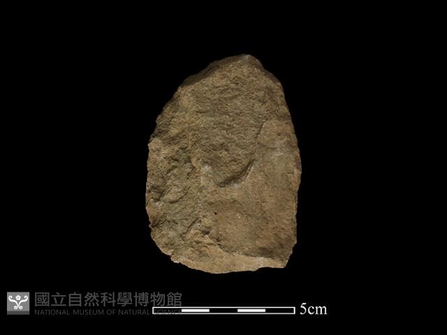 斧鋤形器藏品圖，第2張