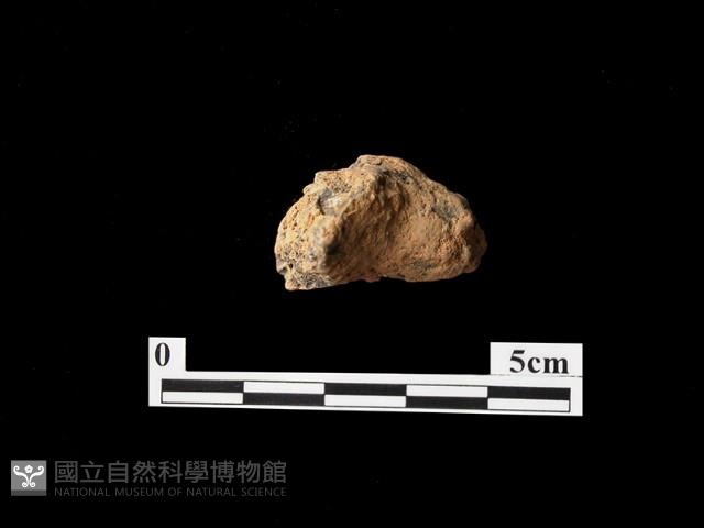 帶加工痕石材藏品圖，第1張