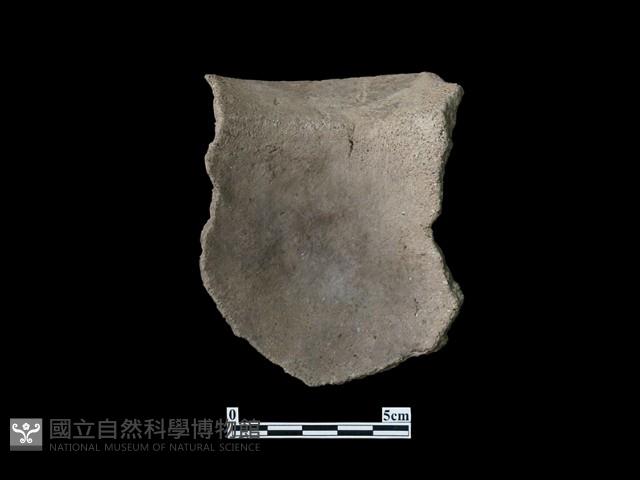 陶片藏品圖，第3張