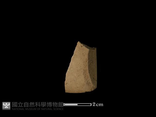 錛鑿形器藏品圖，第2張