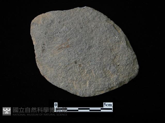 石片器藏品圖，第1張