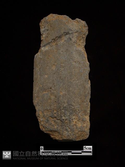 矛鏃形器藏品圖，第2張