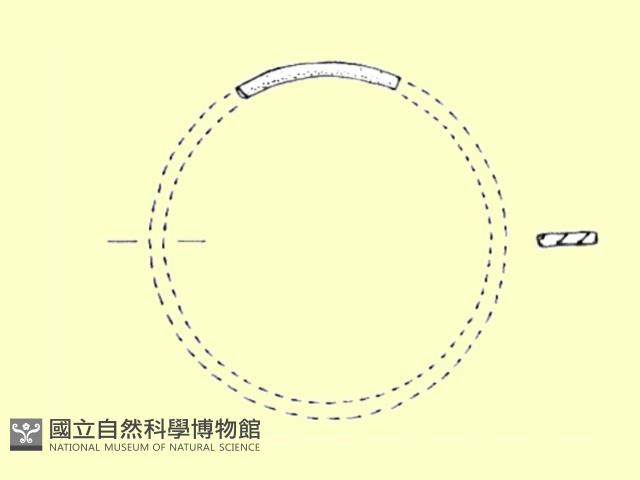 陶片藏品圖，第3張
