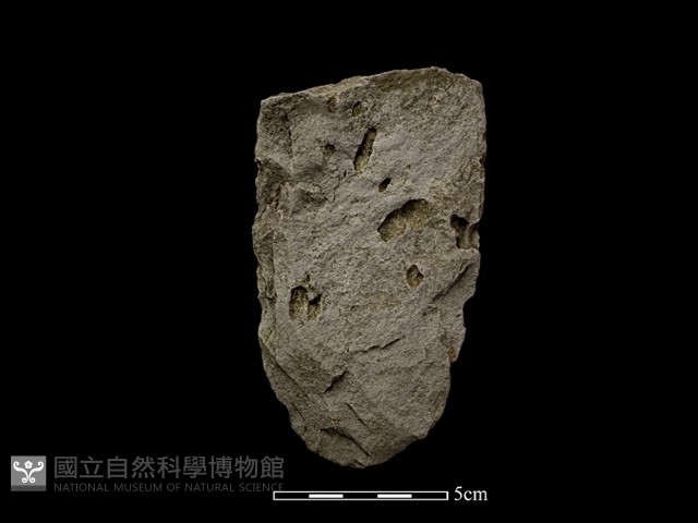 斧鋤形器藏品圖，第1張