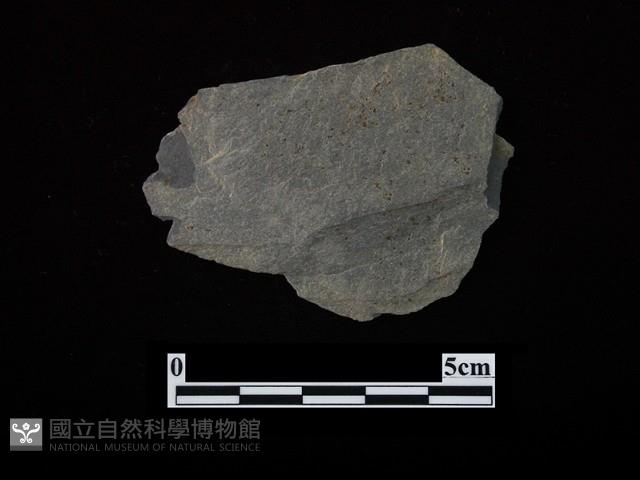 帶加工痕石材藏品圖，第1張