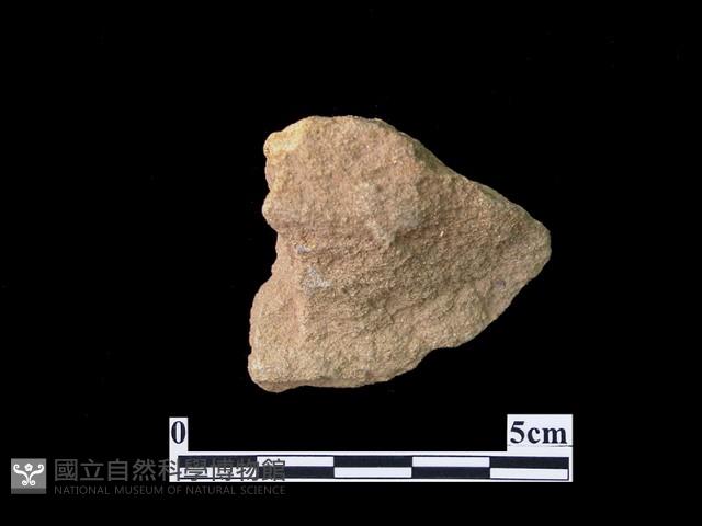 網墜藏品圖，第2張