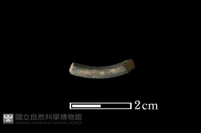 陶環藏品圖，第3張