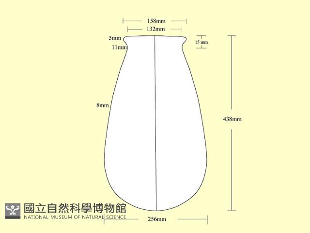 陶罐藏品圖，第3張