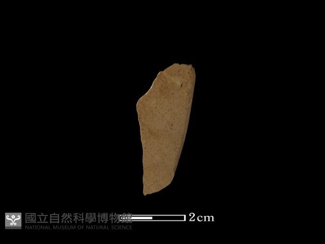 錛鑿形器藏品圖，第2張