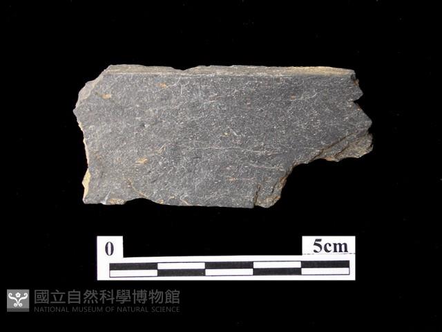 帶加工痕石材藏品圖，第1張