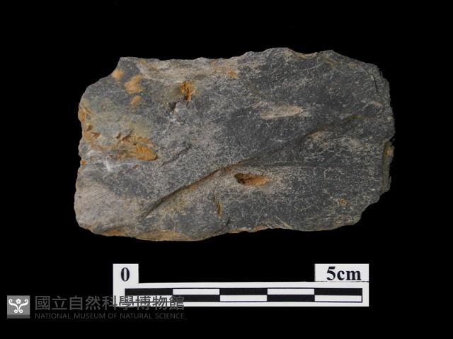 磨製石器藏品圖，第2張