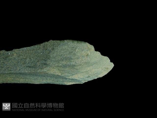 石鋸藏品圖，第3張