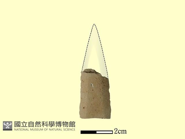 矛鏃形器藏品圖，第2張