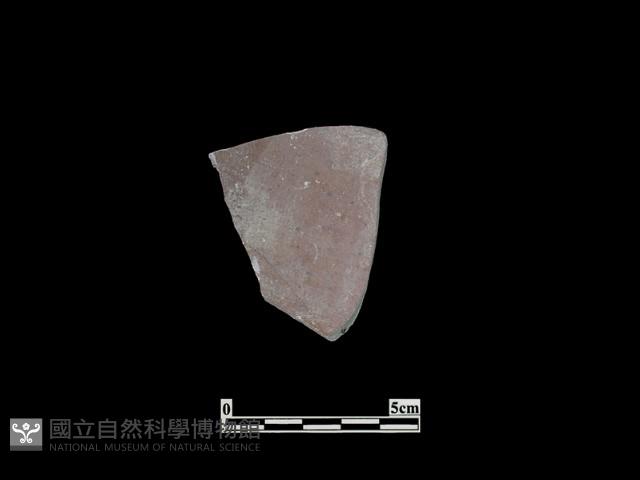 陶片藏品圖，第2張